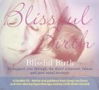 Скачать Blissful Birth - Janey Lee Grace