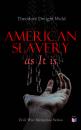 Скачать American Slavery as It is - Theodore Dwight  Weld