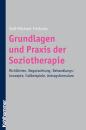 Скачать Grundlagen und Praxis der Soziotherapie - Ralf-Michael  Frieboes