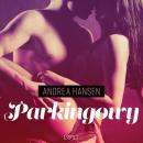 Скачать Parkingowy - opowiadanie erotyczne - Andrea Hansen