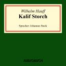 Скачать Kalif Storch (Ungekürzte Lesung) - Вильгельм Гауф