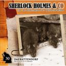 Скачать Sherlock Holmes & Co, Folge 30: Das Rattendorf - Markus Duschek