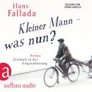 Скачать Kleiner Mann - was nun? (Gekürzte Hörbuchfassung) - Ханс Фаллада