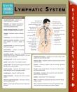 Скачать Lymphatic System (Speedy Study Guides) - Speedy Publishing