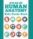 Скачать Atlas Of Human Anatomy: Kids Guide Book - Speedy Publishing LLC