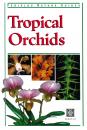 Скачать Tropical Orchids of Southeast Asia - David Banks