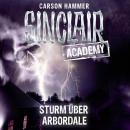 Скачать John Sinclair, Sinclair Academy, Folge 4: Sturm über Arbordale - Carson Hammer