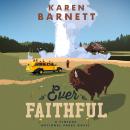 Скачать Ever Faithful - Shadows of the Wilderness - A Vintage National Parks Novel, Book 3 (Unabridged) - Karen Barnett
