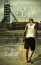 Скачать Dreaming of Light - Jayne Bauling