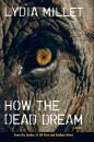 Скачать How the Dead Dream - Lydia  Millet