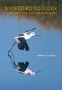 Скачать Shorebird Ecology, Conservation, and Management - Dr. Mark A. Colwell