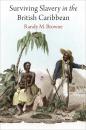 Скачать Surviving Slavery in the British Caribbean - Randy M. Browne