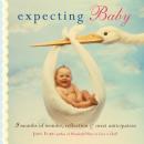 Скачать Expecting Baby - Judy Ford