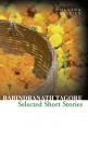 Скачать Selected Short Stories - Rabindranath Tagore