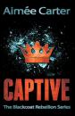 Скачать Captive - Aimee  Carter
