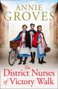 Скачать The District Nurses of Victory Walk - Annie Groves