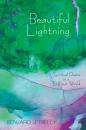 Скачать Beautiful Lightning - Edward J. Rielly