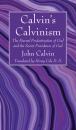 Скачать Calvin’s Calvinism - John Calvin