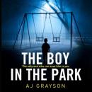 Скачать Boy In The Park - A. J. Grayson