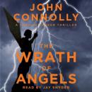 Скачать Wrath of Angels - John Connolly
