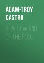 Скачать Shallow End of the Pool - Adam-Troy  Castro