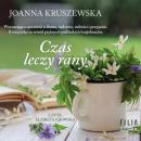 Скачать Czas leczy rany - Joanna Kruszewska