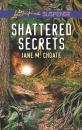 Скачать Shattered Secrets - Jane M. Choate