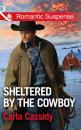 Скачать Sheltered By The Cowboy - Carla Cassidy