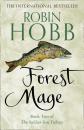 Скачать Forest Mage - Robin Hobb