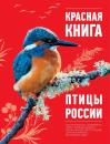 Скачать Красная книга. Птицы России - Оксана Скалдина