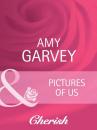 Скачать Pictures Of Us - Amy Garvey