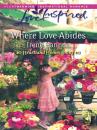 Скачать Where Love Abides - Irene Hannon