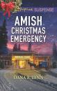 Скачать Amish Christmas Emergency - Dana R. Lynn