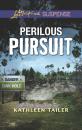 Скачать Perilous Pursuit - Kathleen Tailer