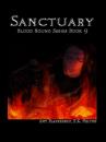 Скачать Sanctuary  - Amy Blankenship