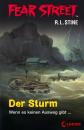 Скачать Fear Street 55 - Der Sturm - R.L. Stine