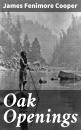 Скачать Oak Openings - James Fenimore Cooper