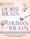 Скачать Horse Brain, Human Brain - Janet Jones
