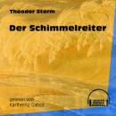 Скачать Der Schimmelreiter (Ungekürzt) - Theodor Storm
