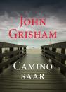 Скачать Camino saar - John Grisham
