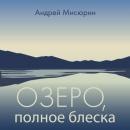 Скачать Озеро, полное блеска - Андрей Витальевич Мисюрин