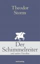 Скачать Der Schimmelreiter - Theodor Storm