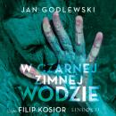 Скачать W czarnej zimnej wodzie - Jan Godlewski